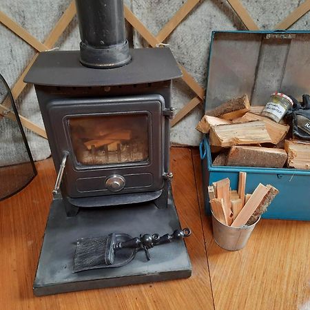 Ceridwen Glamping, Double Decker Bus And Yurts Hotell Llandysul Exteriör bild