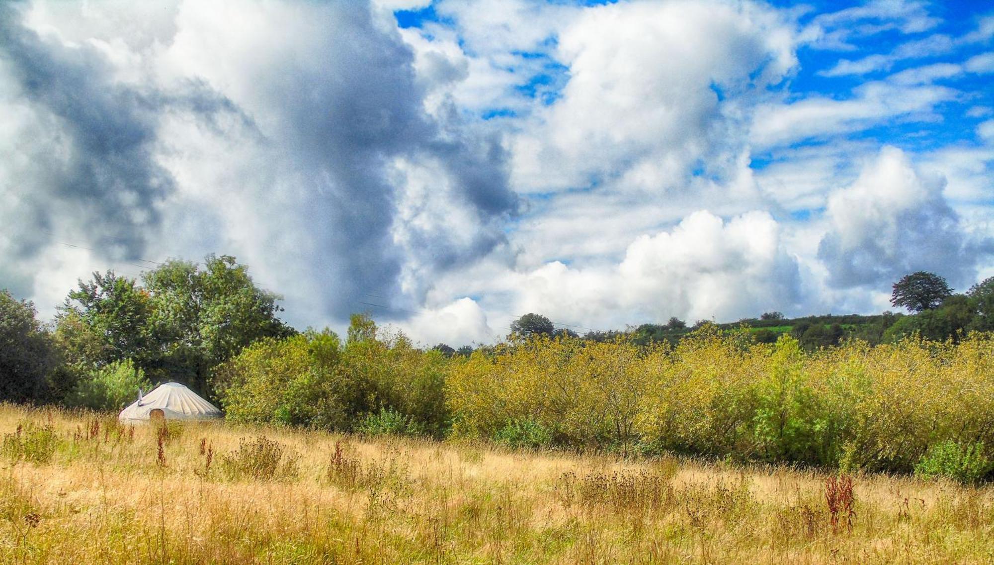 Ceridwen Glamping, Double Decker Bus And Yurts Hotell Llandysul Exteriör bild