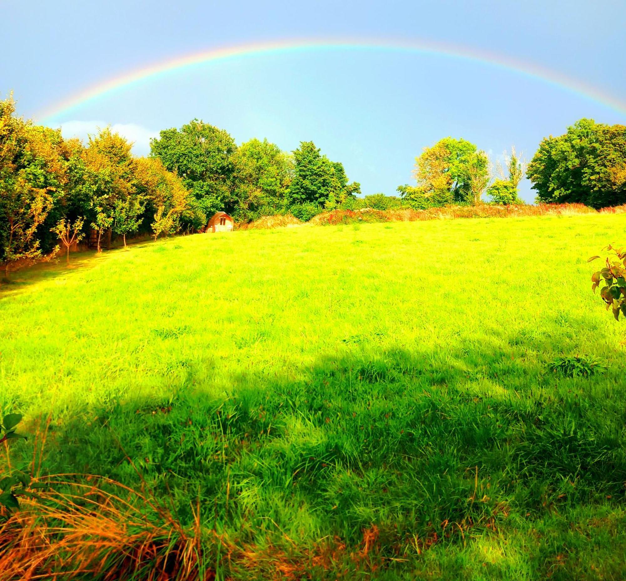 Ceridwen Glamping, Double Decker Bus And Yurts Hotell Llandysul Exteriör bild